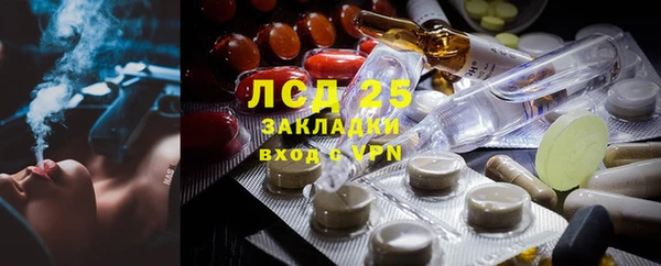 винт Нея