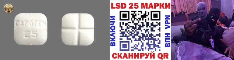 ОМГ ОМГ tor закладки Ядрин ЛСД экстази ecstasy