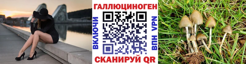 Псилоцибиновые грибы MAGIC MUSHROOMS что такое Ядрин